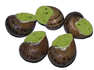 Coquilles classiques